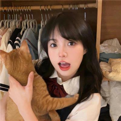 迎凤归
